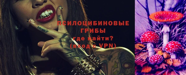 МДПВ Армянск
